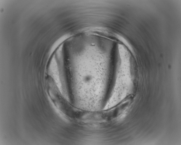 X0000061761050200512231546