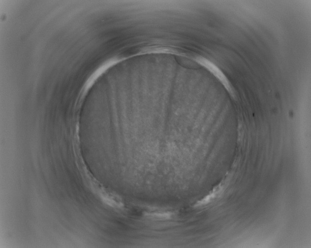 X0000061761051200512231546