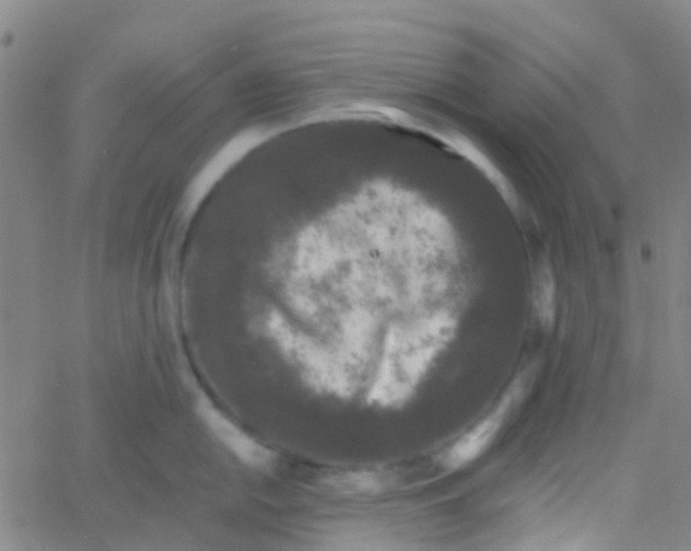 X0000061761054200512231546