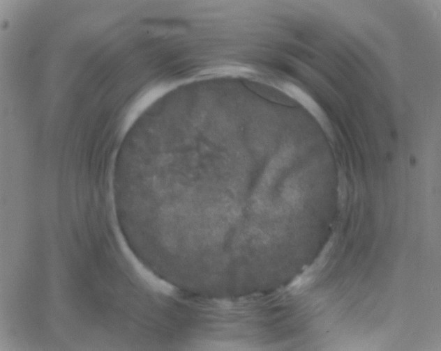 X0000061761055200512231546