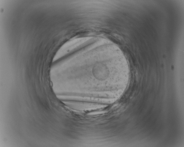 X0000061761057200512231545