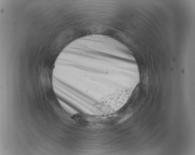 X0000061761058200512231545