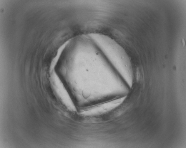 X0000061761059200512231545