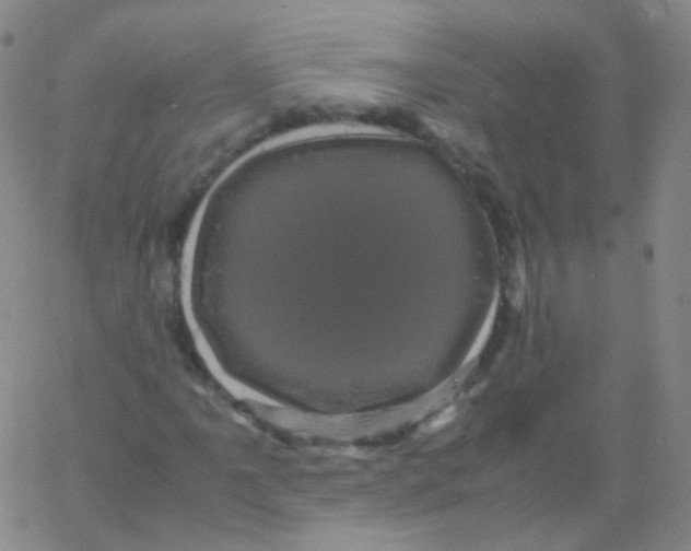 X0000061761061200512231545