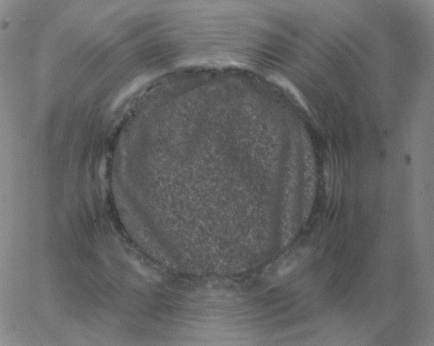 X0000061761064200512231545