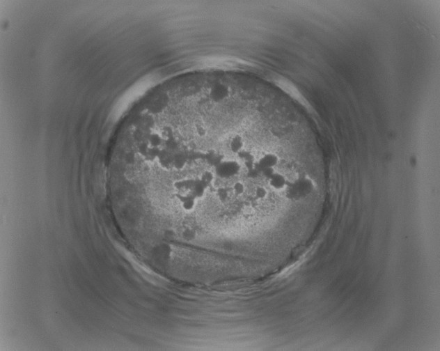 X0000061761067200512231545