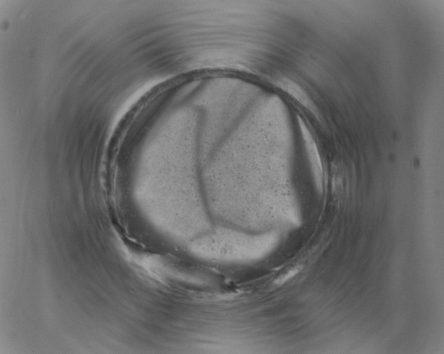 X0000061761068200512231545