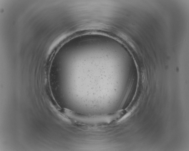 X0000061761069200512231545