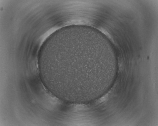 X0000061761070200512231545