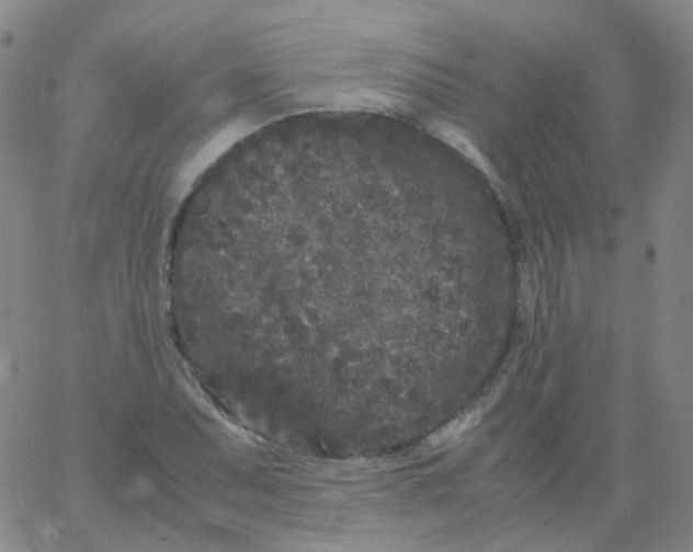 X0000061761071200512231545