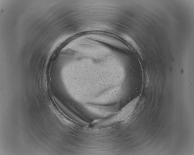 X0000061761072200512231545