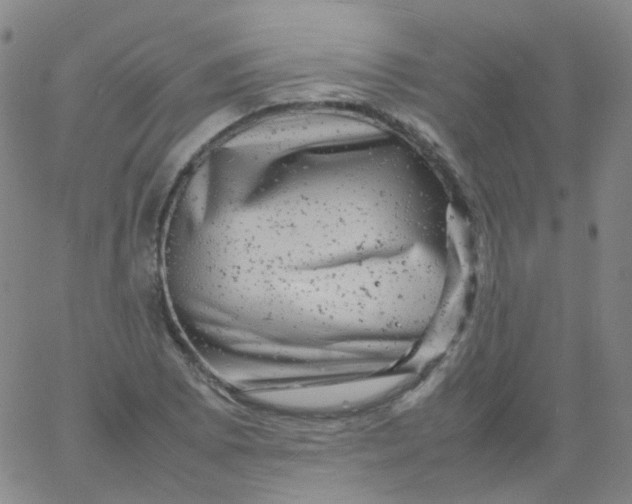 X0000061761073200512231545