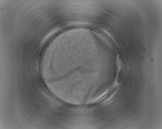 X0000061761074200512231545