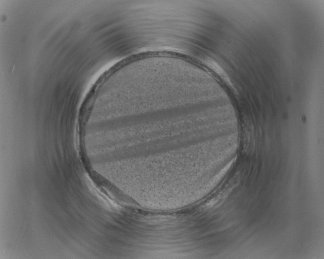 X0000061761076200512231545