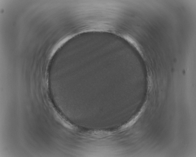 X0000061761077200512231545