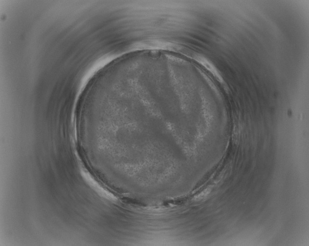 X0000061761080200512231545