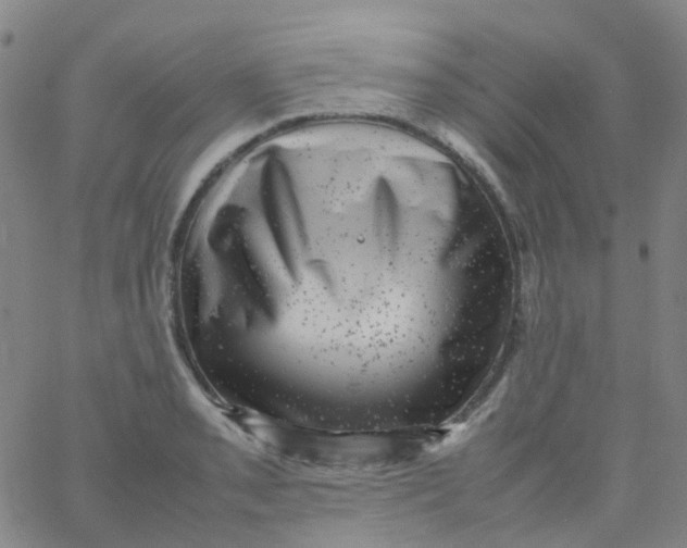 X0000061761085200512231545