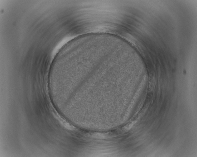 X0000061761086200512231545