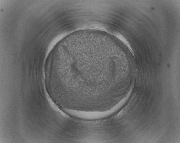 X0000061761088200512231545