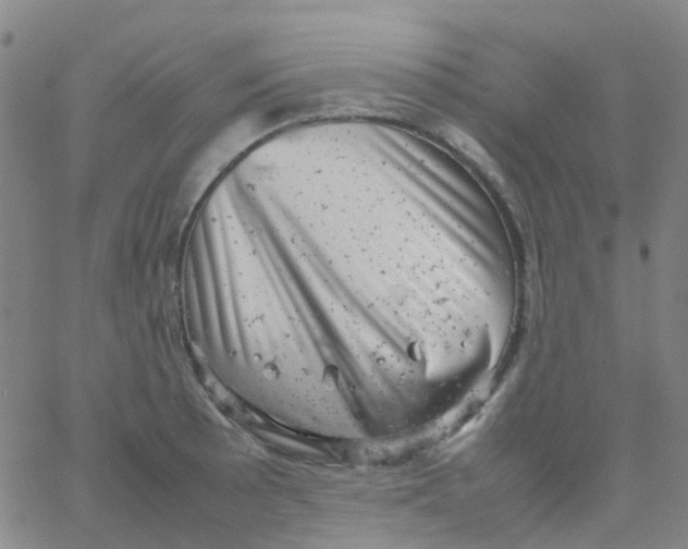 X0000061761089200512231545