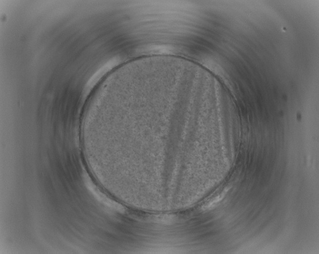 X0000061761090200512231545