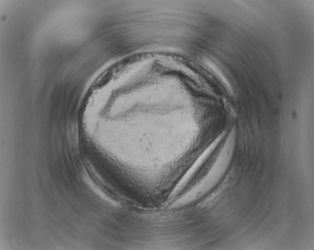 X0000061761092200512231545