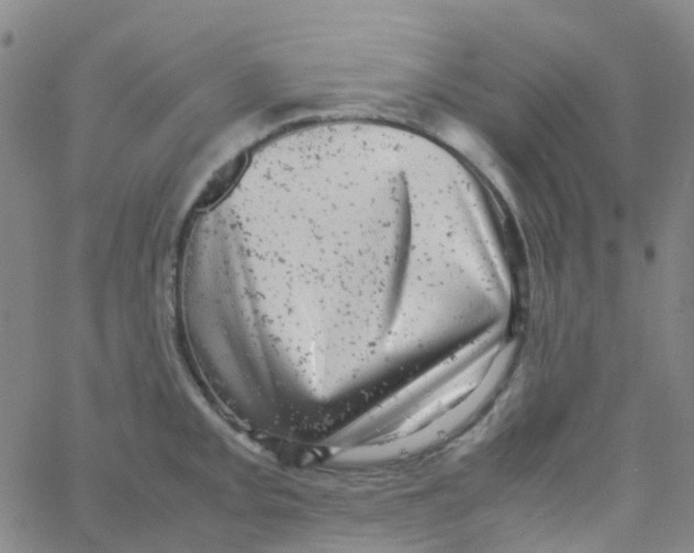 X0000061761093200512231545