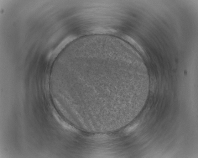 X0000061761094200512231544