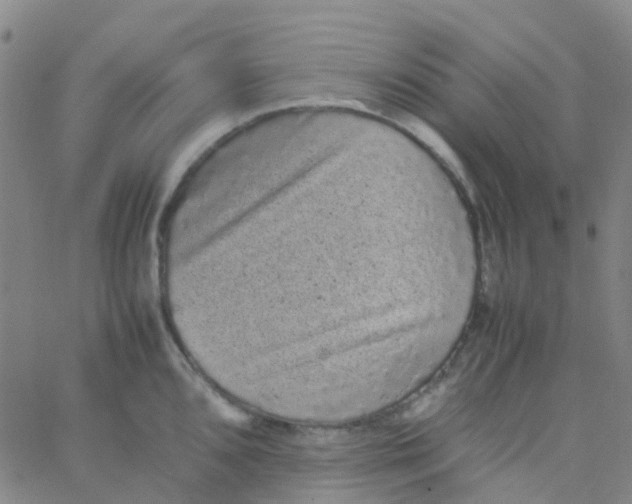 X0000061761096200512231544