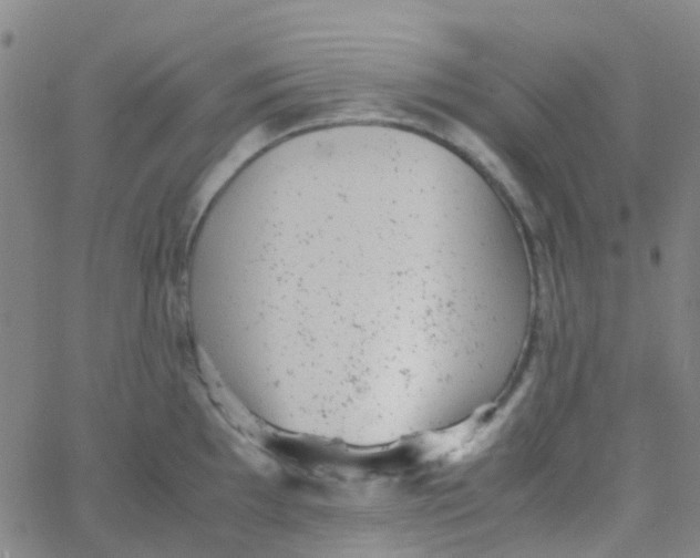 X0000061761097200512231544