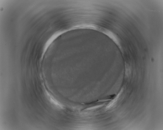 X0000061761102200512231544