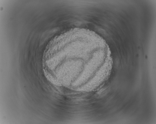 X0000061761105200512231544