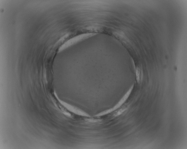 X0000061761107200512231544