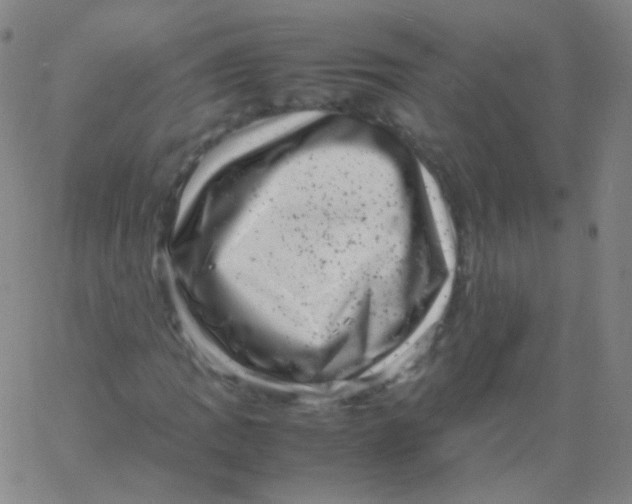 X0000061761109200512231544