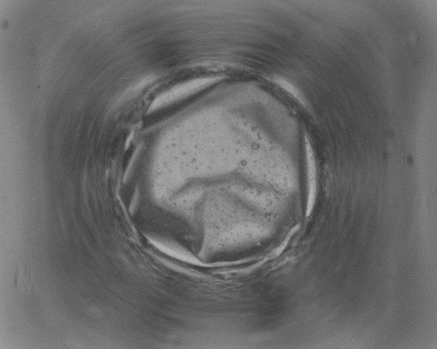 X0000061761111200512231544