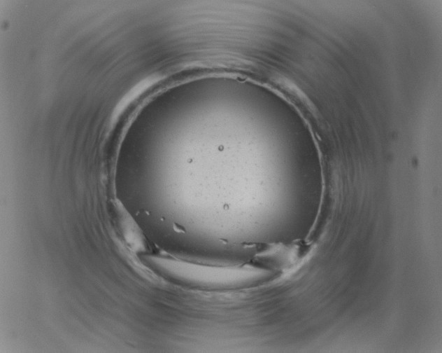 X0000061761114200512231544