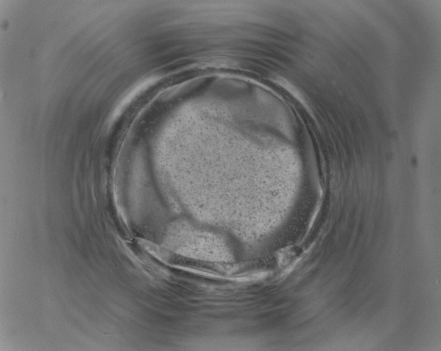 X0000061761115200512231544