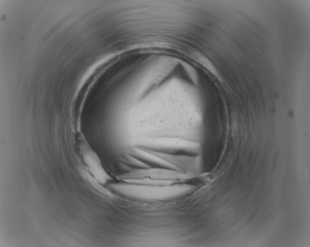 X0000061761116200512231544