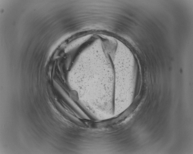 X0000061761118200512231544