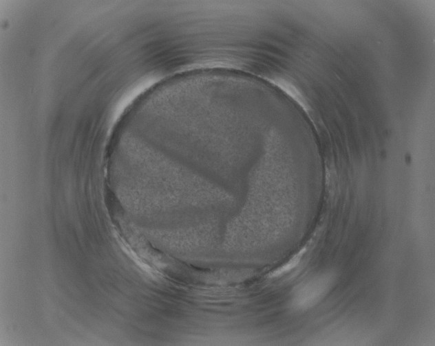 X0000061761119200512231544