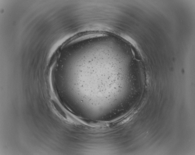 X0000061761120200512231544