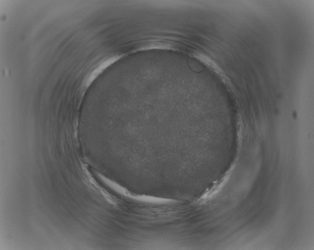 X0000061761121200512231544