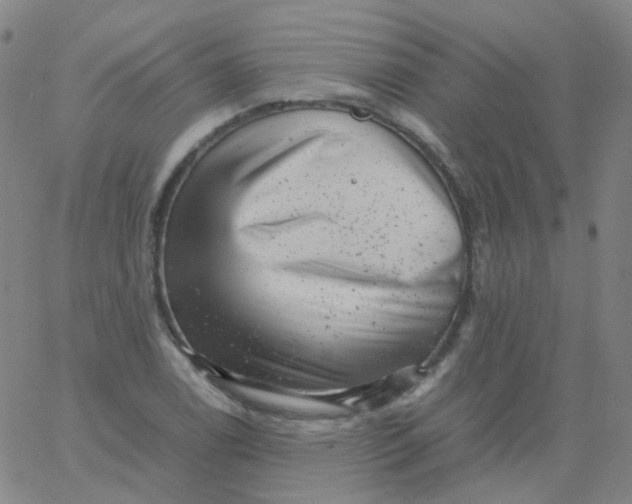 X0000061761122200512231544