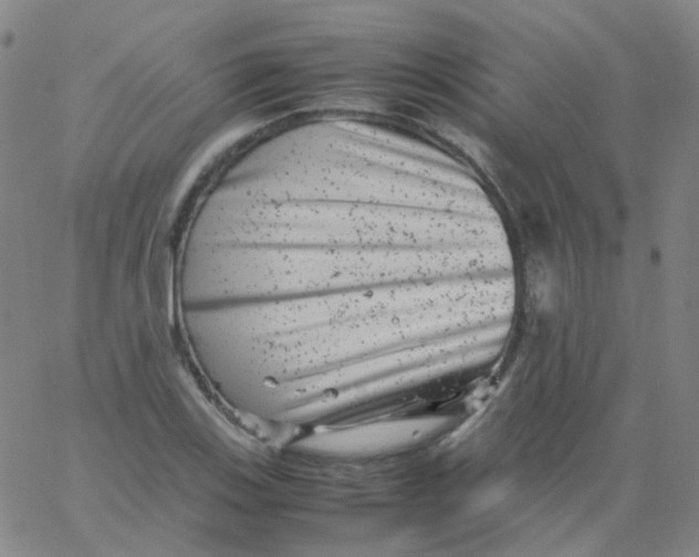 X0000061761123200512231544