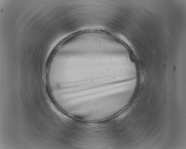 X0000061761124200512231544