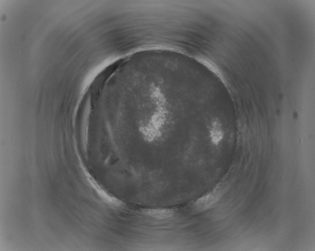 X0000061761127200512231544