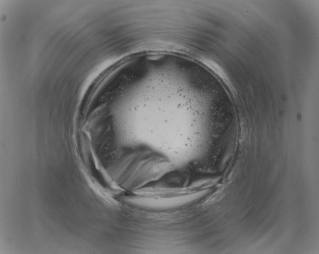 X0000061761128200512231544