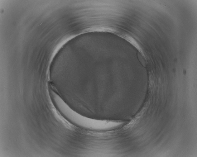 X0000061761132200512231544