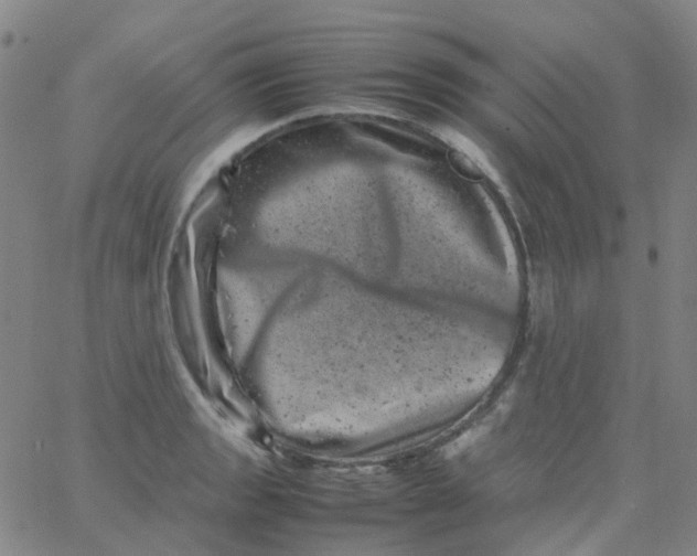 X0000061761133200512231544