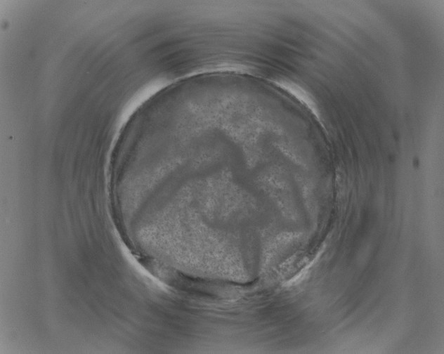 X0000061761135200512231544